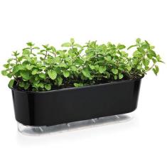 Imagem de Jardineira Vaso Auto Irrigável  Área Interna Externa - Raiz