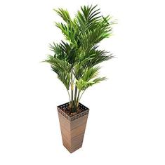 Imagem de Vaso Decorativo Trapézio Honolulu Peg BNPFSD 64cm
