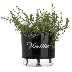 Imagem de Vaso Raiz Auto Irrigável N3  Tomilho Tempero Plantar