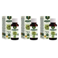 Imagem de Extrato Própolis Puro Kit com 3 Verde Alecrim 15% Zero Alcool Imunidade Vitamina Aquoso 30 ml Natural