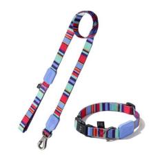 Imagem de Coleira Ajustável e Guia para Cães Raios e Listras Violeta - M