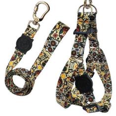 Imagem de Coleira Peitoral Americano Para Cachorro Guia Caveira Mexicana - Única