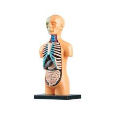 Imagem de Brinquedo Educativo LAB Corpo Humano Estrela - 9 Peças