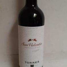Imagem de Vinho Torres San Valentin Tempranillo 750ml