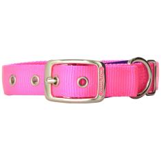 Imagem de Coleira Para Cães Hamilton Double Thick Nylon Deluxe Hot Pink