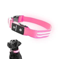 Imagem de Tractive Coleira para cachorro com iluminação LED recarregável por USB, à prova d'água (rosa)