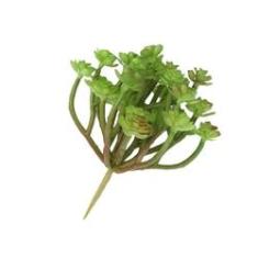 Imagem de 6 mini suculentas artificiais planta artificial para decoração