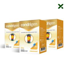 Imagem de Kit 03 Condrigen Colágeno Tipo II com 30 Cápsulas Loja Maxinutri