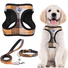 Imagem de PUPTECK Conjunto de coleira e coleira ajustável para cães, sem puxão, para cães pequenos, médios, filhotes e gatos, caminhada ao ar livre, corrida, colete refletivo acolchoado de malha macia, laranja,