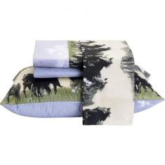 Imagem de Jogo de Cama Casal Queen Desire 4 Peças 100% Algodão 200 Fios Texas