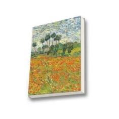 Imagem de Biologia Vegetal - Raven - 9788527723626