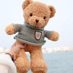 Imagem de Brinquedo Ursinho Pelúcia Infantil C/Roupinha de Lã Fofinho Castela