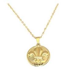 Imagem de Colar Cordão Medalha Profissão Letras Folheado Ouro 18k