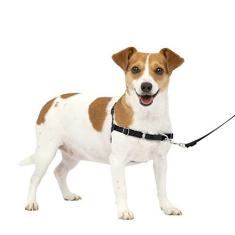 Imagem de PetSafe Peitoral para cães Easy Walk sem puxar – o melhor arnês para ajudar a parar de puxar – Assuma o controle e ensina melhores maneiras de coleira – Ajuda a evitar que animais de estimação puxem