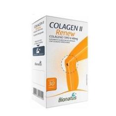 Imagem de Colágeno Tipo II 40mg 30 Cápsulas