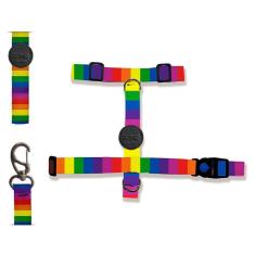 Imagem de Peitoral H e Guia Rainbow para Gatos - Tam. Único