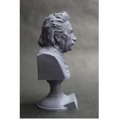 Imagem de Escultura Estatua Busto Albert Einstein