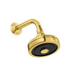 Imagem de Chuveiro Deca Gold Acqua Plus Com Tubo Curvo 1990.Gl.Std