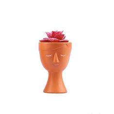 Imagem de Vaso Decorativo Cachepot Face Em Cerâmica Com Suculenta