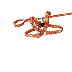 Imagem de Conjunto Peitoral Ajustável RBPet com Guia - Cães de Micro Porte