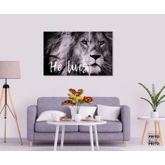 Imagem de Quadros Decorativos Leão