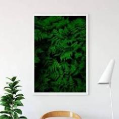 Imagem de Quadro Decorativo Fotografia Samambaias 34x23cm