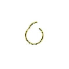 Imagem de Piercing Argola Segmento Articulado em Aço PVD Gold 10mm