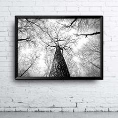 Imagem de Quadro Tree 1 A4