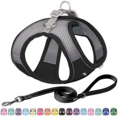 Imagem de AIITLE Conjunto de coleira e coleira para cães Step in – Arneses de mola à prova de fuga com malha macia e faixas refletivas, arnês ajustável para animais de estimação ao ar livre para cães pequenos e