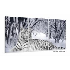 quadro tigre branco casal para decoração 3 peças