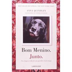 Imagem de Bom Menino - Junto - Um Elogio À Vida de um Querido e Leal Amigo - Quindlen, Anna - 9788576353379