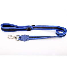 Imagem de Guia AMF Havaí Azul