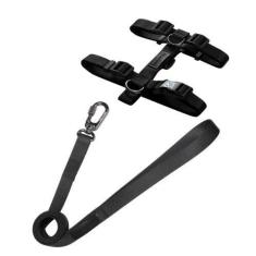 Imagem de Kit - Peitoral H + Guia  Elegance  - Tamanho M F117 - Mr Toni