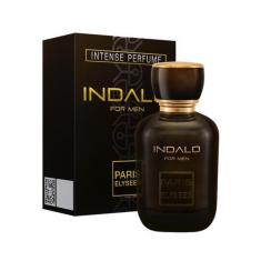Imagem de Perfume Indalo masculino 100ml - Paris Elysses