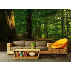 Imagem de Papel de Parede Paisagens Floresta 18 - 1,00 X 1,00