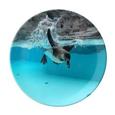Imagem de Prato de imagem da natureza do pinguim da Antártica do oceano, Prato decorativo de porcelana Salver, Prato de jantar