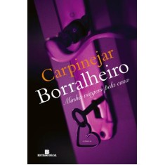 Imagem de Borralheiro - Carpinejar, Fabricio - 9788528614978