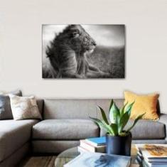 Imagem de Quadro Leão Decorativo Em  E 