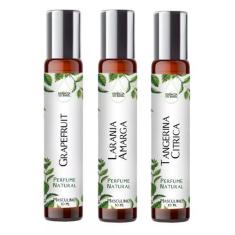 Imagem de Kit 3 Perfumes Roll On 10ml - Fragrância Frutada Para Homens - Essênci