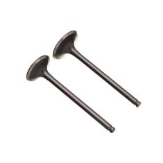 Imagem de Valvula Adm/Esc. (Par) Ww3 Ybr 125 Inj. 17/