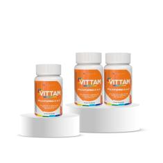 Imagem de Kit 3 Polivitamínico az Multivitamínico Vitamina B12 Vittam 30 cápsulas