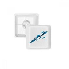 Imagem de Dolphin — Kit de atualização para jogos com teclado mecânico PBT