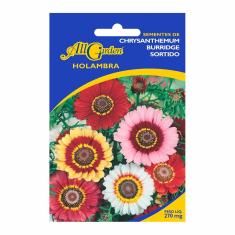 Imagem de Sementes de Chrysanthemum Burridge Sortido All Garden