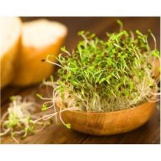 Imagem de Chá De Alfafa Orgânica 100 Gramas