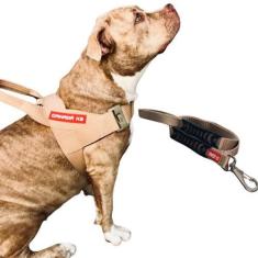 Imagem de Coleira Peitoral Com Guia Para Cachorro - Modelo Estriado Tamanho M -