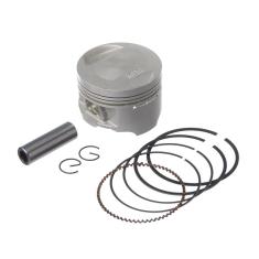 Imagem de Pistao Kit C/Anel Rik Premium Cg 125 2009/  Std