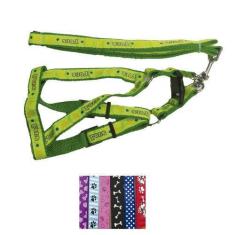 Imagem de Coleira C/Guia Para Cães Até 15Kg Variadas - Sap