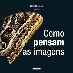 Imagem de Como Pensam As Imagens - Capa Comum - 9788526809611