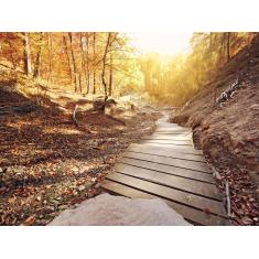 Imagem de Papel De Parede Estrada Caminho Floresta 3D 7,50m² Nes095