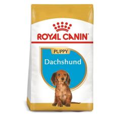Imagem de Royal Canin Ração Para Cães Filhotes Dachshund Puppy 2,5kg